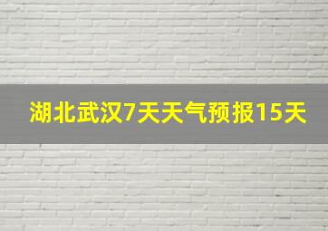 湖北武汉7天天气预报15天