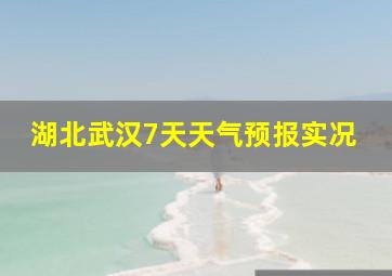 湖北武汉7天天气预报实况