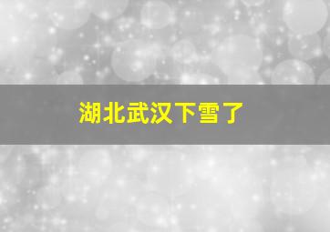 湖北武汉下雪了