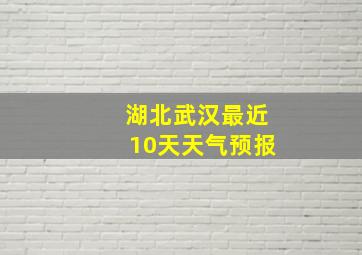 湖北武汉最近10天天气预报