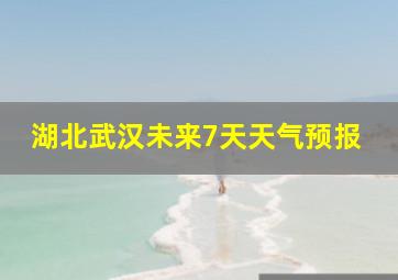 湖北武汉未来7天天气预报