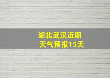 湖北武汉近期天气预报15天