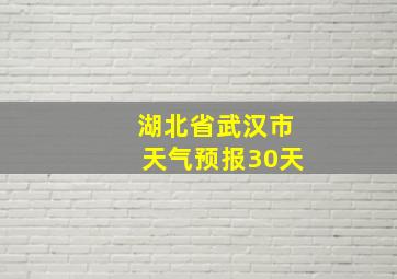 湖北省武汉市天气预报30天