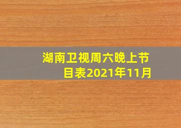 湖南卫视周六晚上节目表2021年11月