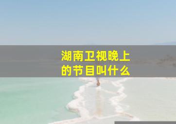 湖南卫视晚上的节目叫什么