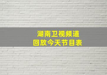 湖南卫视频道回放今天节目表