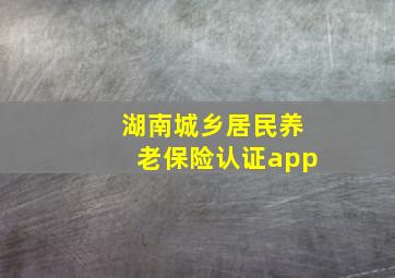 湖南城乡居民养老保险认证app