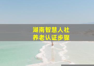 湖南智慧人社养老认证步骤