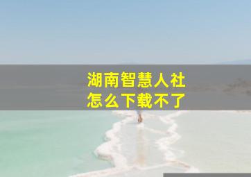 湖南智慧人社怎么下载不了