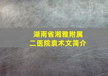 湖南省湘雅附属二医院袁术文简介