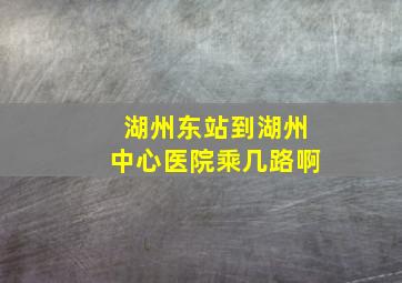 湖州东站到湖州中心医院乘几路啊