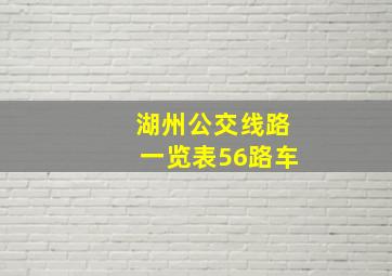 湖州公交线路一览表56路车