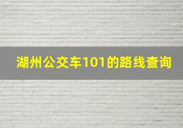 湖州公交车101的路线查询