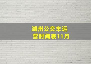 湖州公交车运营时间表11月