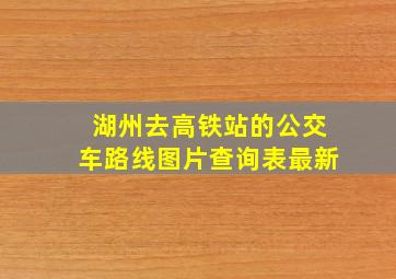 湖州去高铁站的公交车路线图片查询表最新