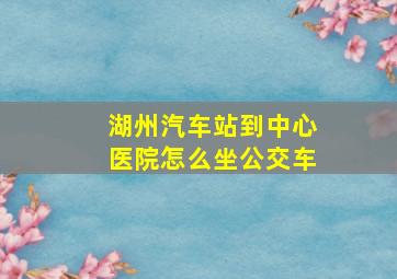 湖州汽车站到中心医院怎么坐公交车