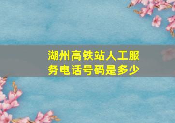 湖州高铁站人工服务电话号码是多少