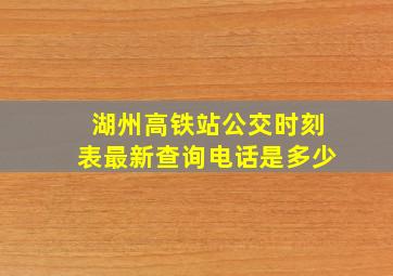 湖州高铁站公交时刻表最新查询电话是多少