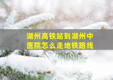 湖州高铁站到湖州中医院怎么走地铁路线