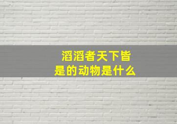 滔滔者天下皆是的动物是什么