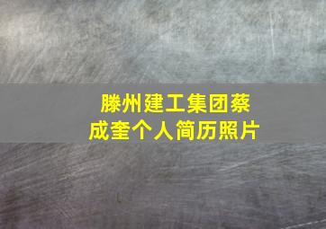 滕州建工集团蔡成奎个人简历照片