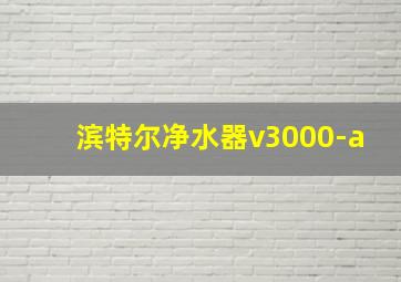 滨特尔净水器v3000-a