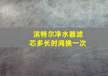 滨特尔净水器滤芯多长时间换一次