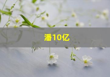 潘10亿