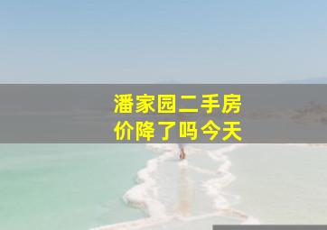 潘家园二手房价降了吗今天