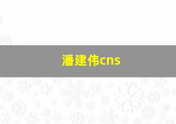 潘建伟cns