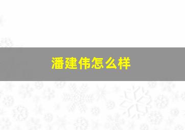 潘建伟怎么样