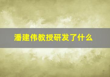 潘建伟教授研发了什么