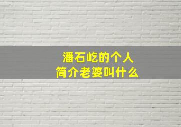 潘石屹的个人简介老婆叫什么