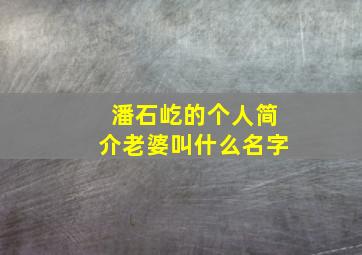 潘石屹的个人简介老婆叫什么名字