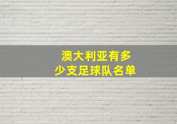 澳大利亚有多少支足球队名单