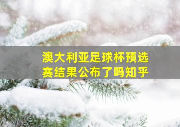 澳大利亚足球杯预选赛结果公布了吗知乎