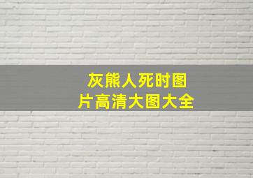 灰熊人死时图片高清大图大全