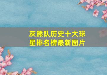 灰熊队历史十大球星排名榜最新图片