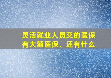 灵活就业人员交的医保有大额医保、还有什么