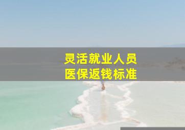 灵活就业人员医保返钱标准