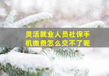 灵活就业人员社保手机缴费怎么交不了呢