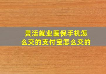 灵活就业医保手机怎么交的支付宝怎么交的