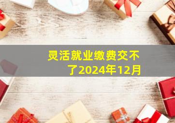 灵活就业缴费交不了2024年12月