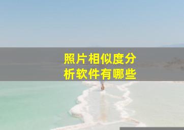 照片相似度分析软件有哪些