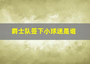 爵士队签下小球迷是谁