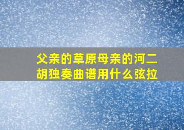 父亲的草原母亲的河二胡独奏曲谱用什么弦拉