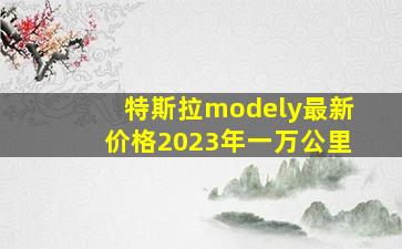 特斯拉modely最新价格2023年一万公里