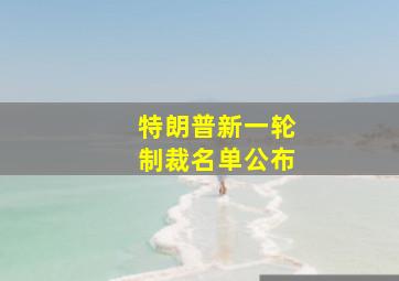 特朗普新一轮制裁名单公布