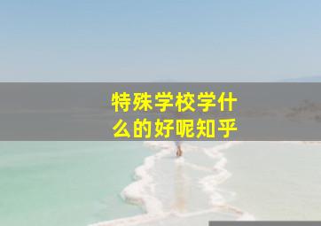 特殊学校学什么的好呢知乎