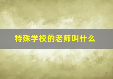 特殊学校的老师叫什么